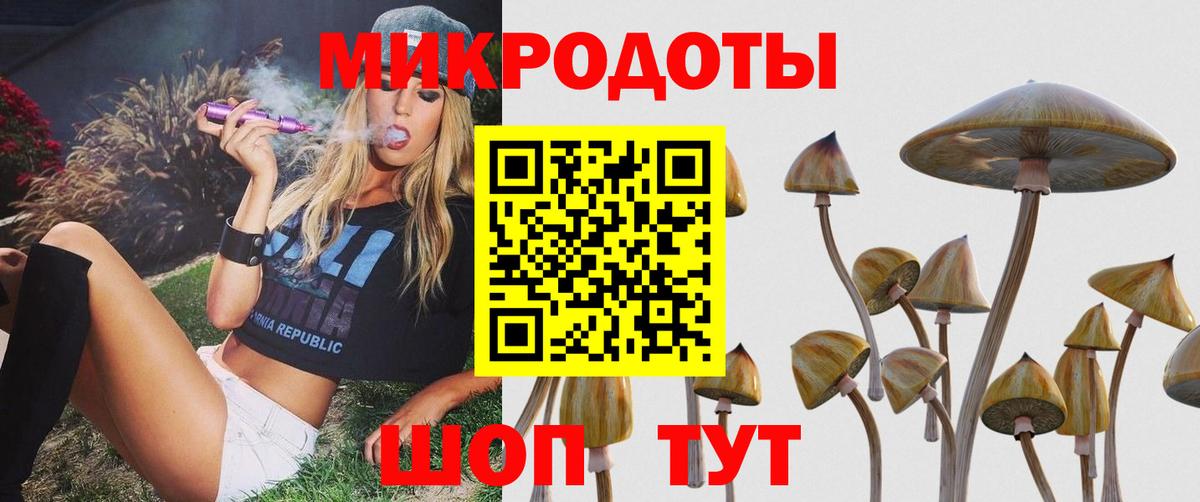 Кореновск  Галлюциногенные грибы Magic Shrooms  Галлюциногенные грибы GOLDEN TEACHER  Вход с VPN 